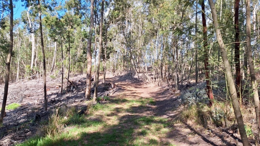 0 Bedroom Property for Sale in Knysna Rural Western Cape